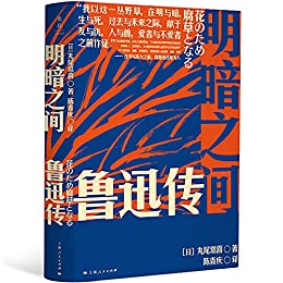 《明暗之间：鲁迅传》丸尾常喜电子书下载