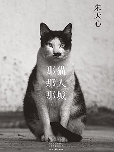 《那猫那人那城》朱天心电子书下载